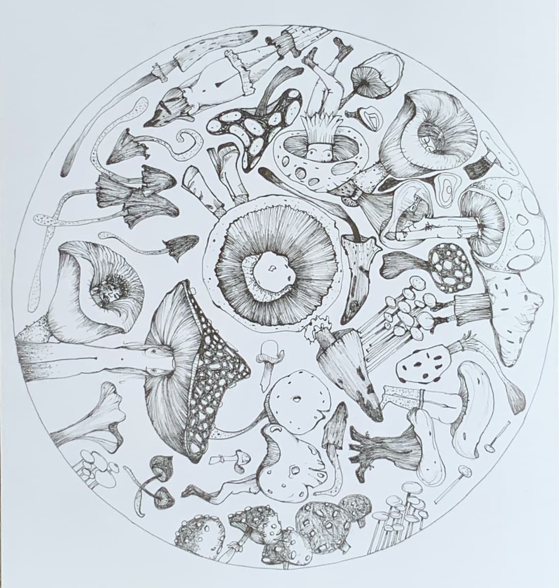 Illustratie